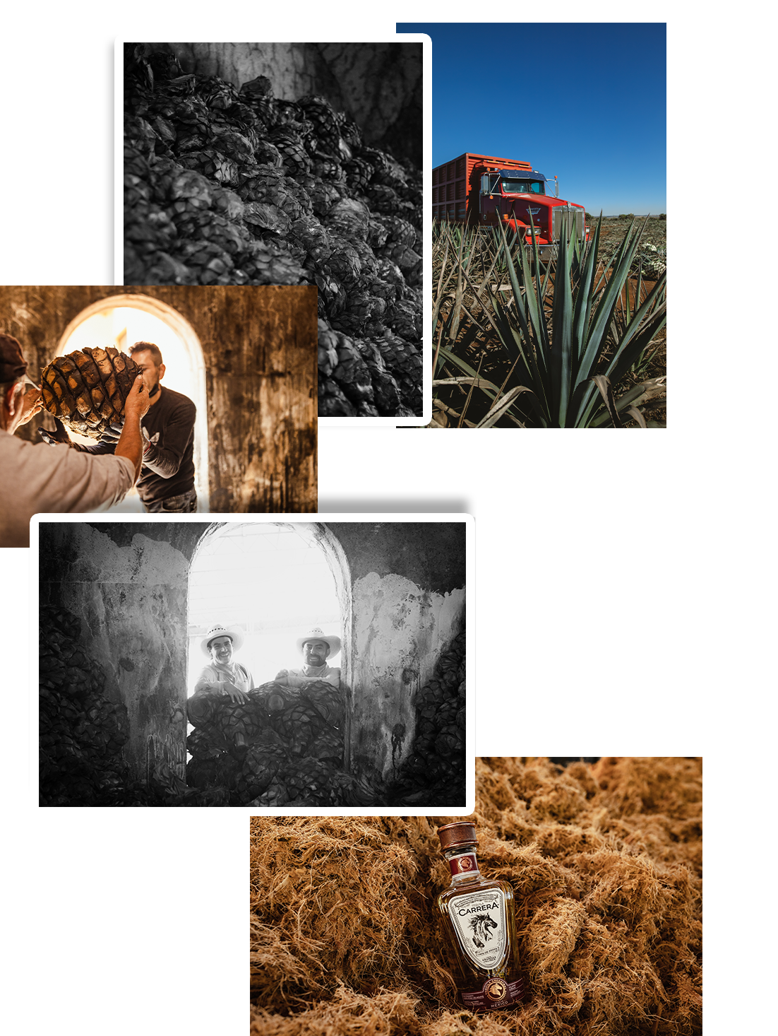 Proceso de elaboración del Tequila Carrera